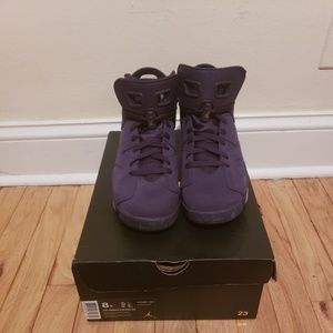 Air Jordan 6 in Purple Dynasty
